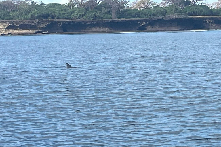 Diani Beach: Sunrise Boat Tour and Snorkeling Trip