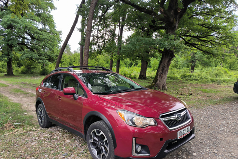 Tbilisi: Subaru Crosstrek 2014-2016, aluguel, condução autônoma