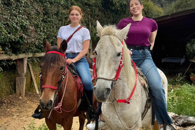 2-hour horseback riding + Private transportation + Photos & videos + Gift for the first 5 to book 2-hour horseback ride + private transportation + photos & videos + gift for the first 5 to book.