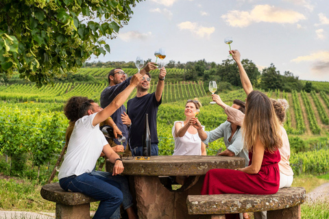 Au départ de Strasbourg : visite privée des vins d&#039;Alsace classiques