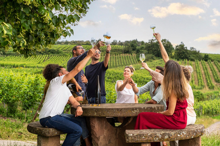 De Estrasburgo: Tour particular de vinhos clássicos da Alsácia