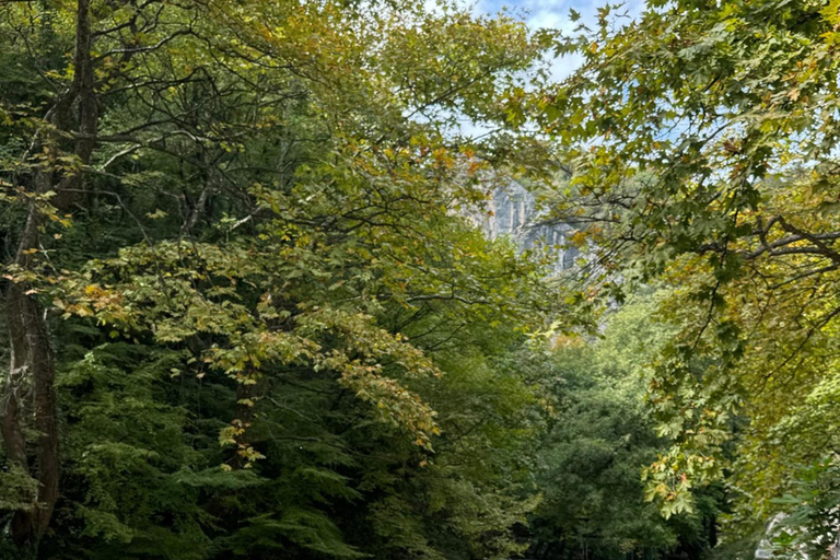 From Thessaloniki: Private Thermal Springs & Nature Escape