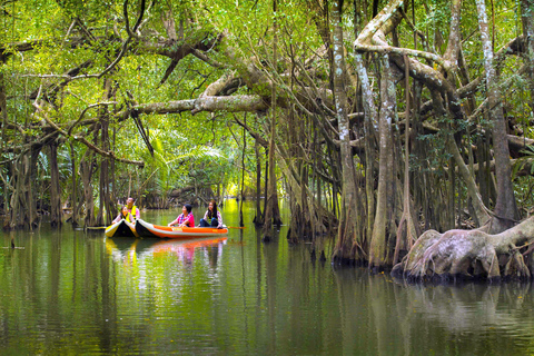 Exclusive Khao Lak Highlights - Private Tour Full Day 8h