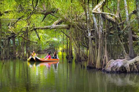 Khao Lak : tresors caches (canoe, tortues et temples)