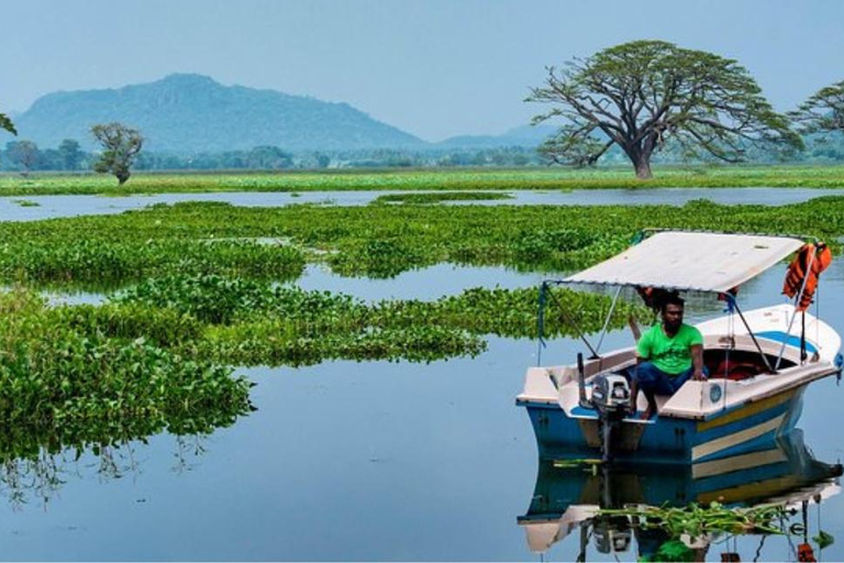 Yala: Sunset Tour by Boat & Beach BBQ Dinner!