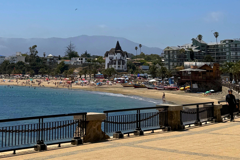 From Santiago: Papudo Lobos Island Boat & Horseback Ride