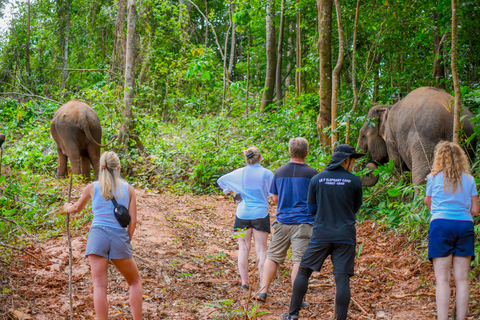 Phuket: Half‑Day Elephant Care Experience Including Lunch