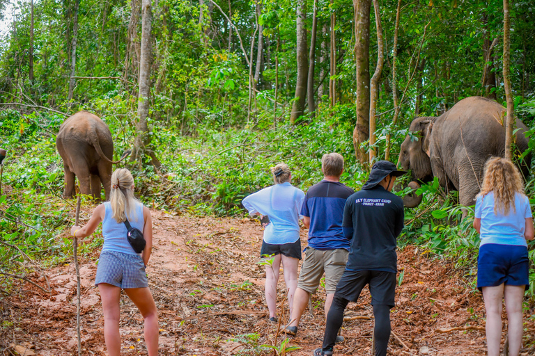 Phuket: Half‑Day Elephant Care Experience Including Lunch
