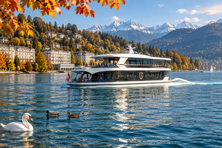From Zurich: VIP Swiss Capitals Experience: Lucerne & Bern
