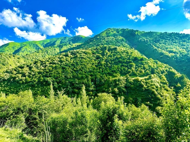 Welcome to Uzbekistan