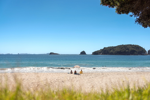 CATHEDRAL COVE & HOT WATER BEACH Day Tour from Auckland