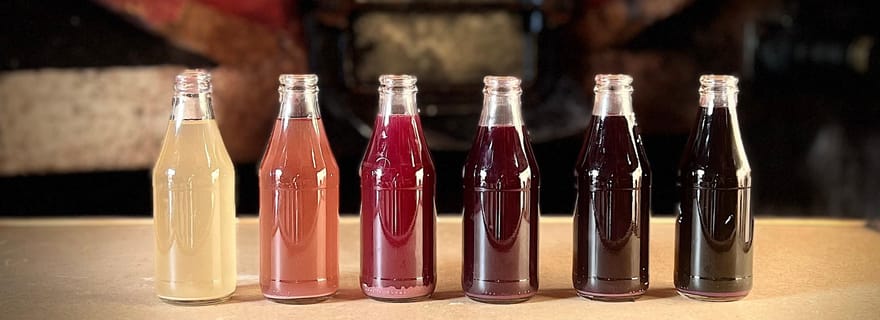 Domaine Tour Paradis : visite du vignoble et dégustation de vin à Aiguèze