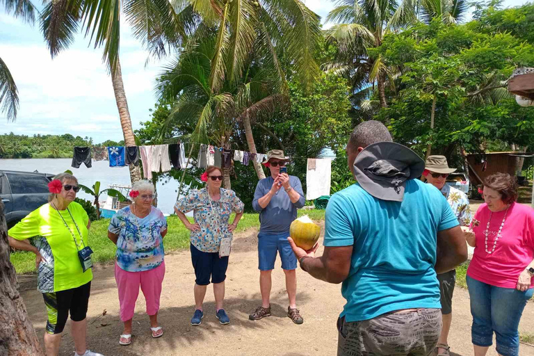 Sigatoka: crucero por el río y visita al valle Salad BowlSigatoka: crucero por el río y excursión al Valle de las Ensaladeras