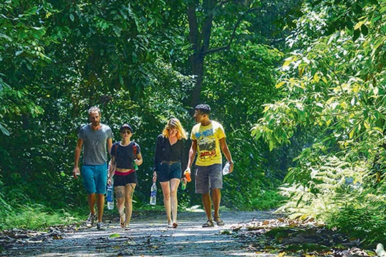 Hanoi: Van Long Wetland, Bear Sanctuary, Cuc Phuong Tour