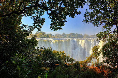 Guided Walking Tour to Victoria Falls