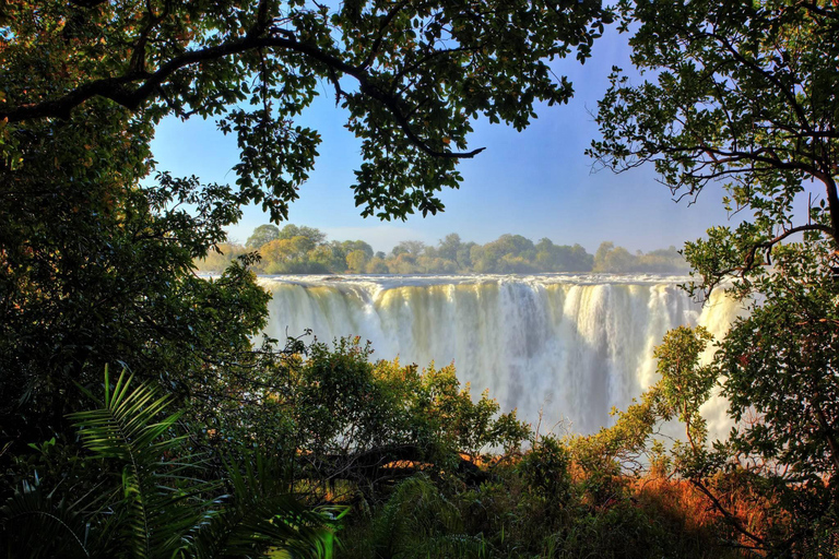 Guided Walking Tour to Victoria Falls