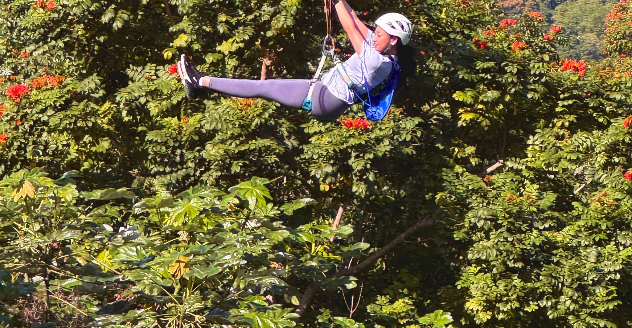 Puerto Rico, Yunque Ziplining at the Rainforest - Housity