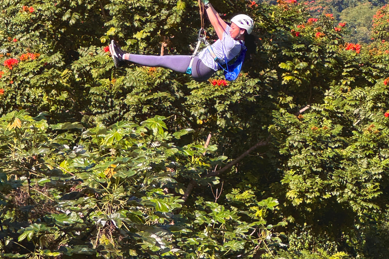Puerto Rico: Yunque Ziplining in het regenwoud