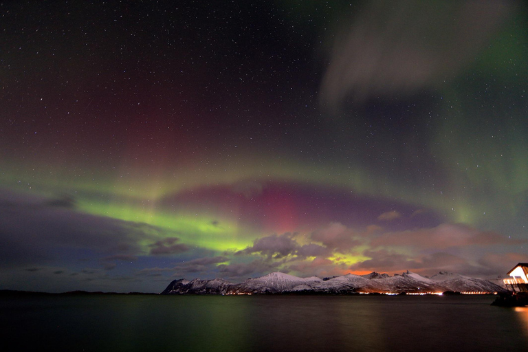 Northern Lights cruise in Tromsø