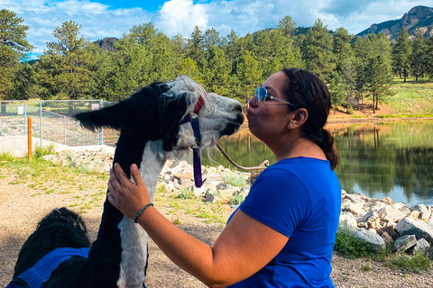 Denver: Llama Hike in the Rocky Mountains