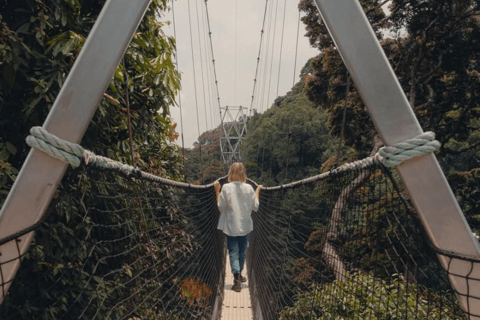 From Kigali: 3-Day Nyungwe Forest National Park Tour