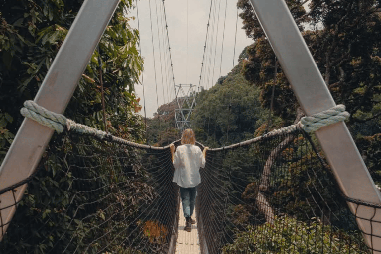 From Kigali: 3-Day Nyungwe Forest National Park Tour