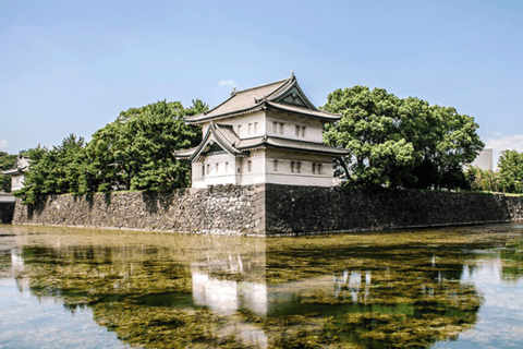 Tokio: Keizerlijk Paleis Historische Wandeltour, Kasteel van Tokio