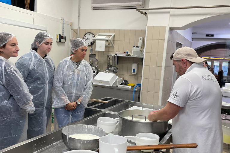 Pisa: Kaas maken en proeven met een kleine groep