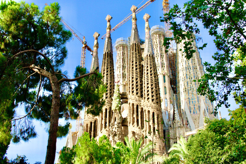 Barcelona: Sagrada Familia Guided Tour with Express Entry Tour with Express Entry