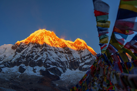 Trek du camp de base de l&#039;Annapurna : 5 jours au départ de PokharaPokhara : 5 jours de trekking au camp de base de l&#039;Annapurna avec guide