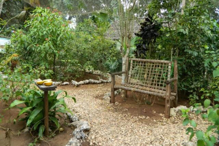 Zanzibar: Jozani Forest, Tortoise Park, & Butterfly Tour Private tour without hotel pick up and drop off