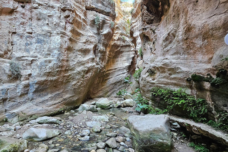 From Paphos: Akamas Coastal Jeep Adventure 4x4 A/C
