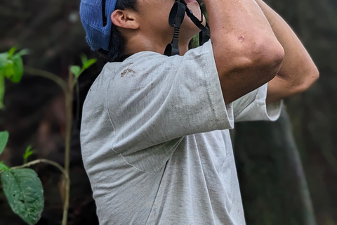 Panamá; San Blas Dos días en la selva todo incluido