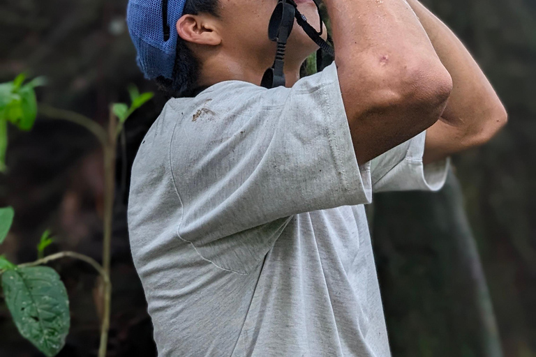 Panamá; San Blas Dos días en la selva todo incluido