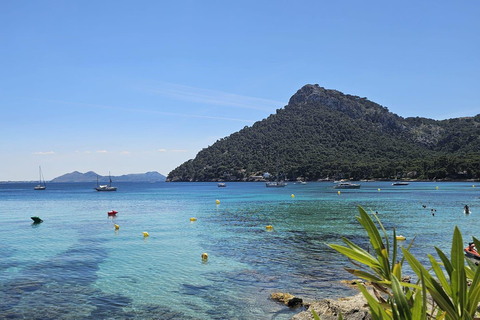 Mallorca: Scenic Formentor Tour by Bus & Boat Pick up in Playa de Muro
