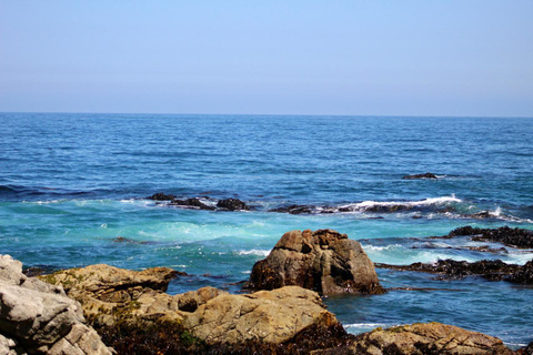 From Santiago: Full-Day Tour of Viña del Mar and Valparaiso