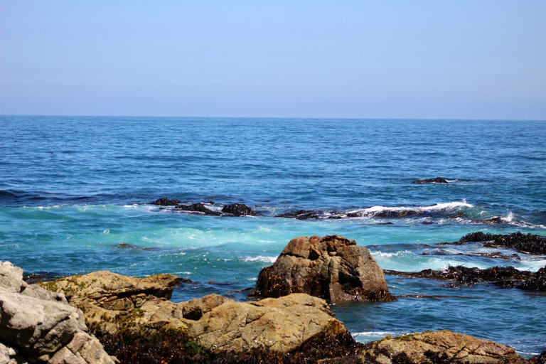 From Santiago: Full-Day Tour of Viña del Mar and Valparaiso