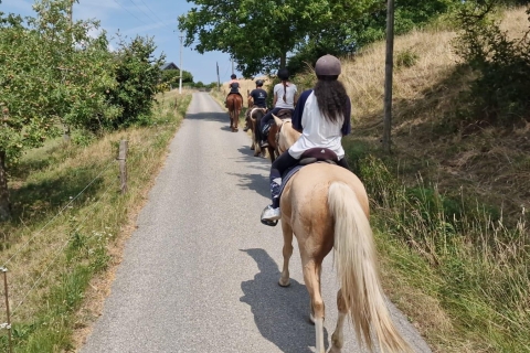 Annecy : Balade à cheval2 heures de balade
