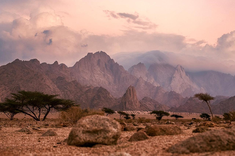 瓦迪拉姆沙漠探险之旅：超越地平线2-Hour 4x4 Safari