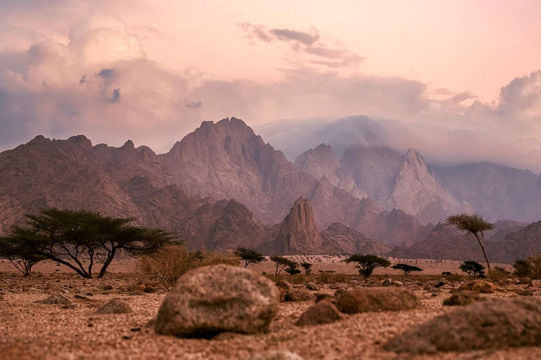 瓦迪拉姆沙漠探险之旅：超越地平线2-Hour 4x4 Safari