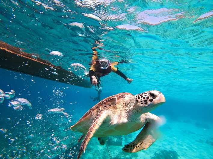 Gili Islands: Private or Shared Snorkeling Boat Trip