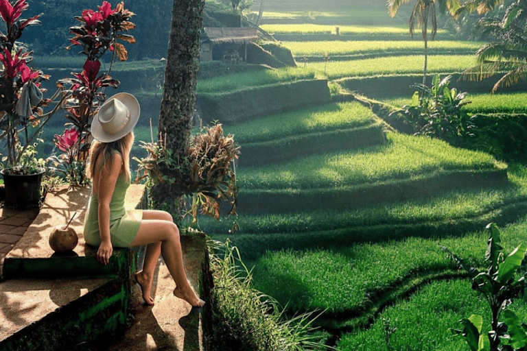 Bali: Explore North Bali Customized Private Day TourNorth Bali Trip C