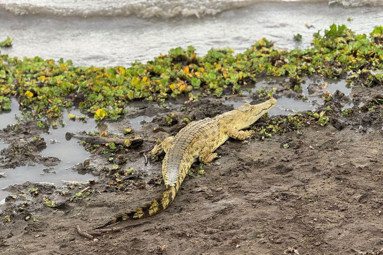 Dar es Salaam: gita di 1 giorno in treno al Parco nazionale di Mikumi