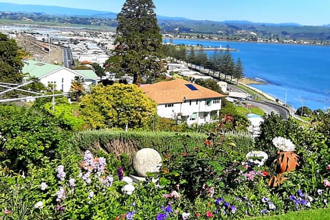 Private Art Deco Napier, Te Mata peak, Wine & Cheese Tasting