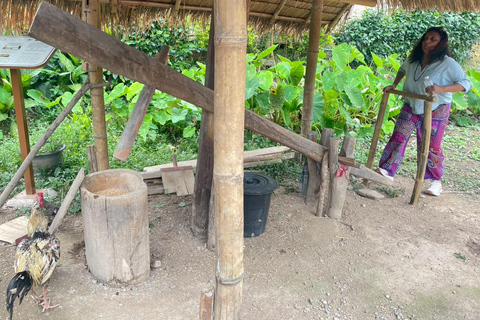 Chiang Mai: Doi Inthanon National Park 1 Day(Hotel Transfer) Chiang Mai: Doi Inthanon National Park Day Trip Included Fee