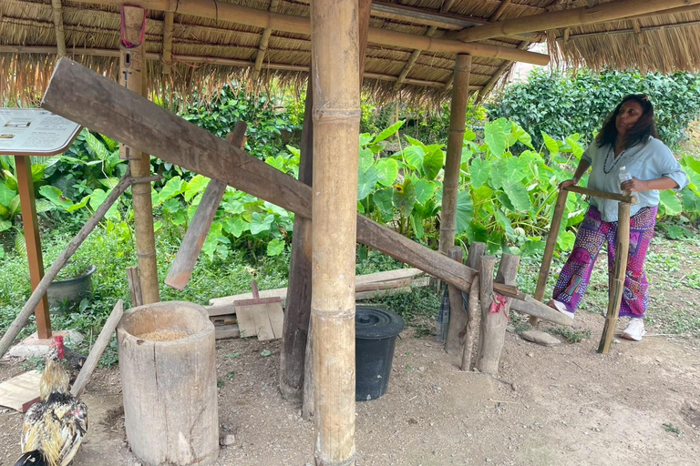 Chiang Mai: Doi Inthanon National Park 1 Day(Hotel Transfer) Chiang Mai: Doi Inthanon National Park Day Trip Included Fee