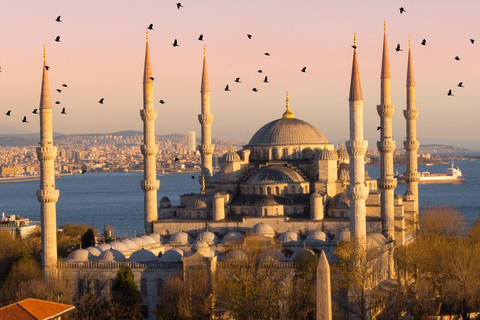 Istanbul: Small Group Guided Tour with Lunch & Tickets