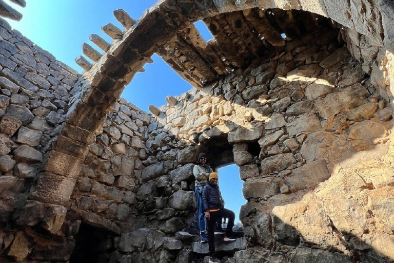 Ammán - Excursión de un día a los Castillos del Desierto y la Reserva del Humedal de AzraqAmmán, Castillos del Desierto y Reserva del Humedal de Azraq VAN DE DÍA COMPLETO