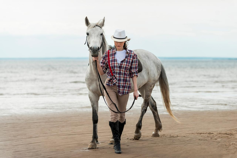 Saintes-Maries-de-la-Mer: Camargue Horseback Ride 2 Hour Ride