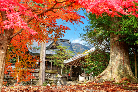 Osaka: Amanohashidate, Ine Cruise & Miyama Village From Osaka (Basic Package)
